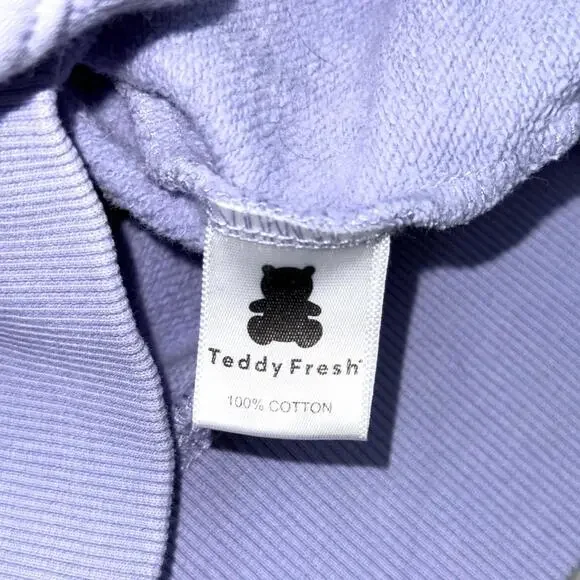 Teddy Fresh x Looney Tunes Colorblock Hoodie Size M Embroidered Graphic Fleece - Picture 5 of 8